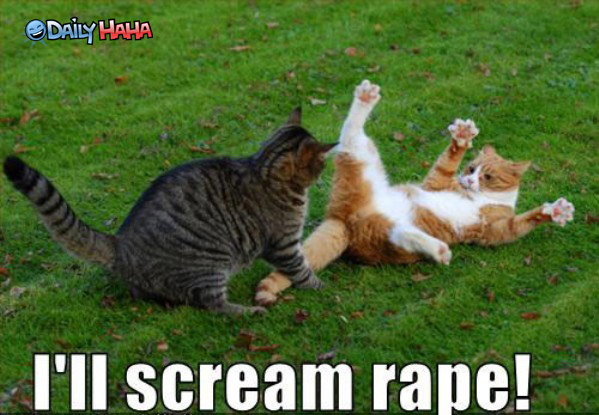 i'll scream rape lolcat
