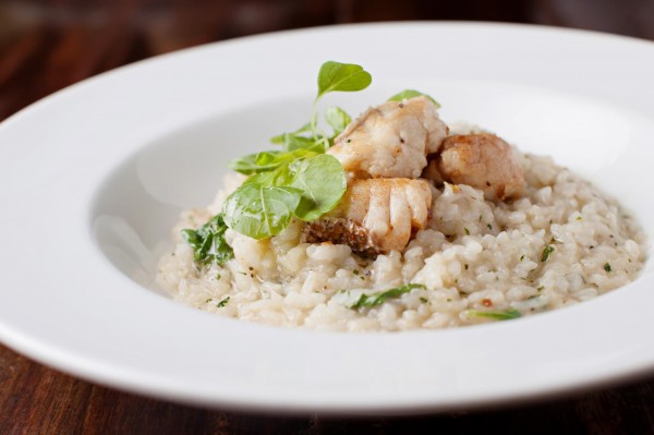 894788_10151549313667177_1518568270_o