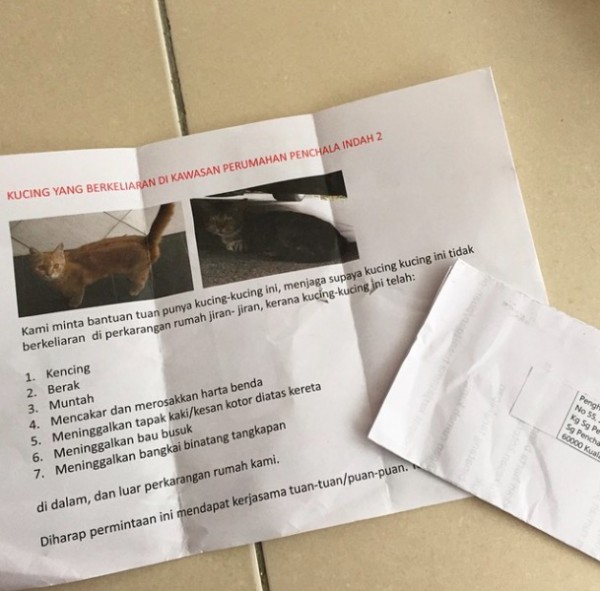 Bukan Salah Kucing