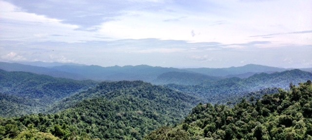 Kenapa Saya Akan Beli Harley-Davidson