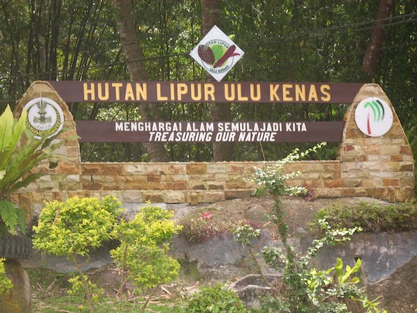 ulu kenas