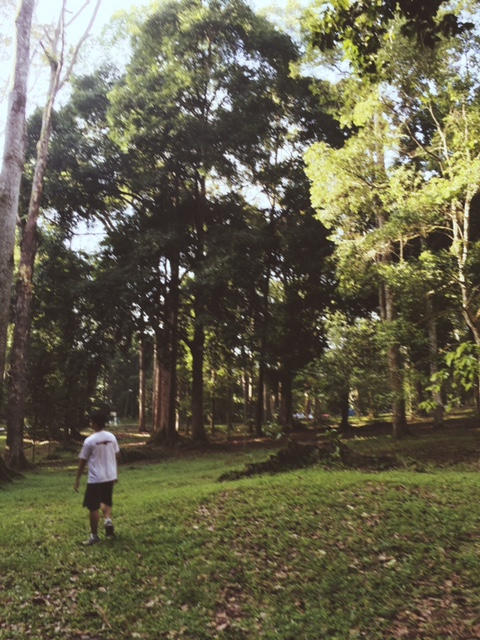 Processed with VSCOcam with m3 preset